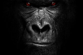 Extreme Heres To The Losers