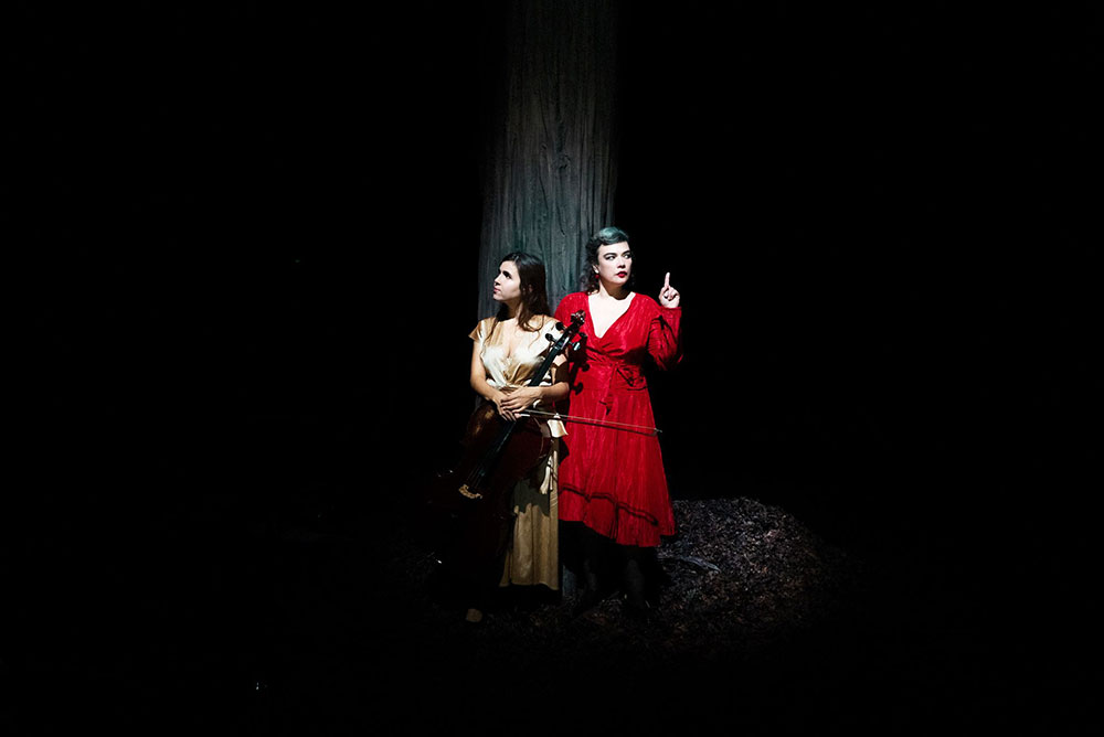 Birds On A Wire Tour 2026