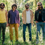 Goose Deutschland Konzerte