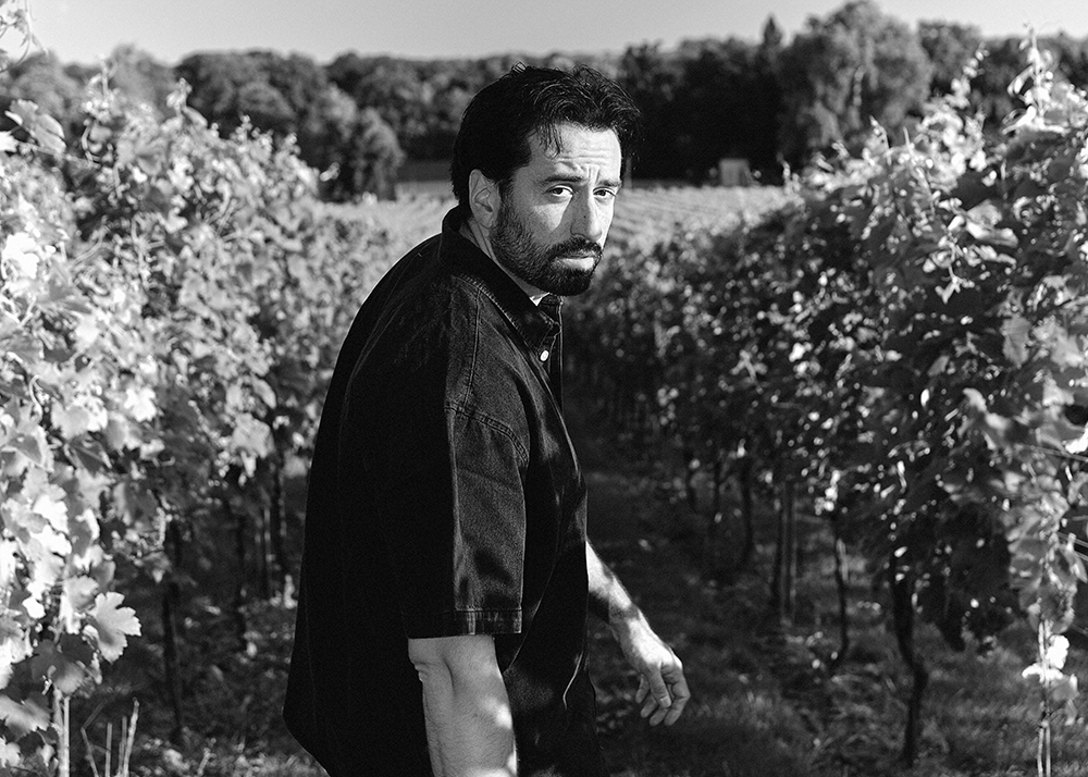 Dotan Album Release 2026