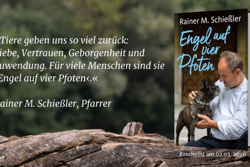 Engel auf vier Pfoten: Rainer M. Schießler Buch