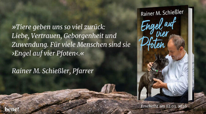 Engel auf vier Pfoten: Rainer M. Schießler Buch