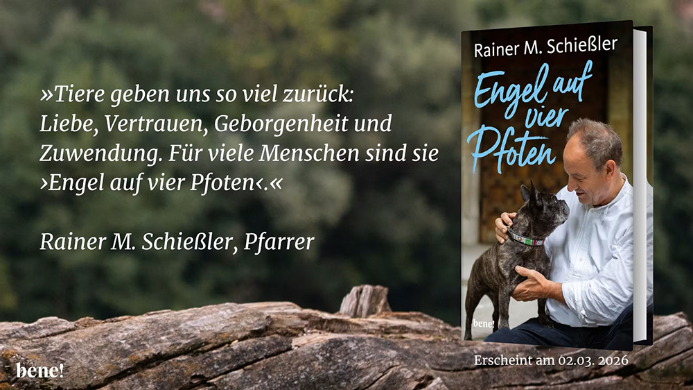Engel auf vier Pfoten: Rainer M. Schießler Buch