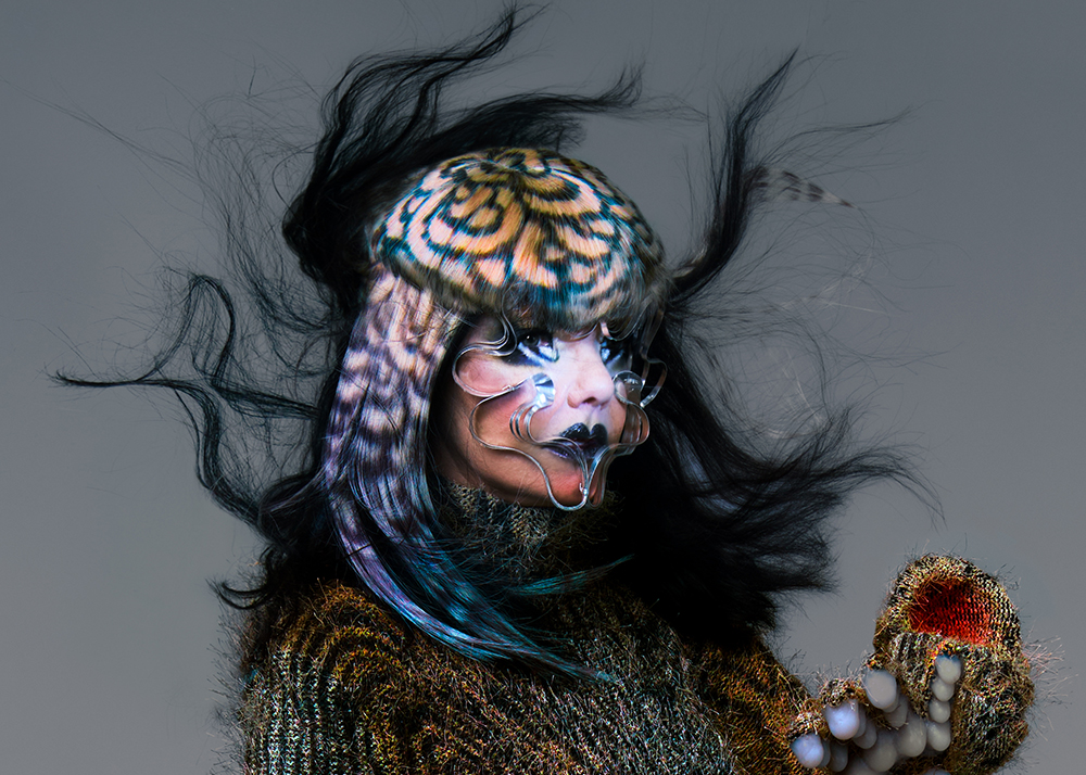 Björk Echolalia Festival Island