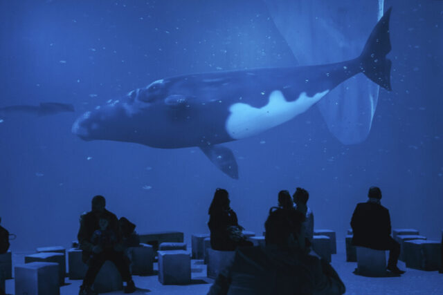 Photo_Polar_Experience_-_360___Projektion_Credit_Clara_Marnette