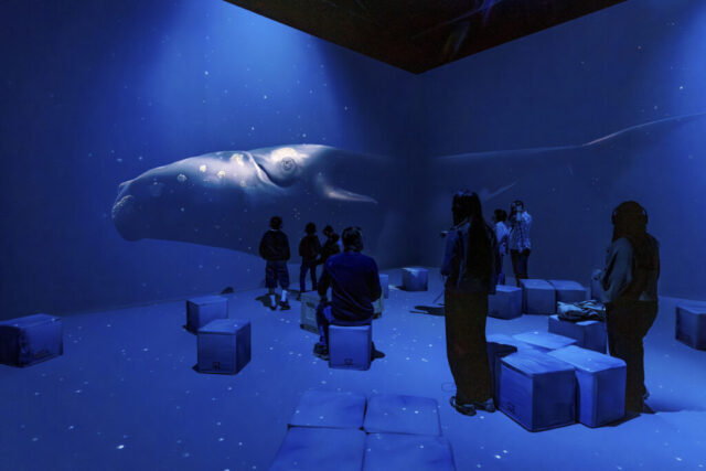 Photo_Polar_Experience_360__-Raum_Credit_Christoph_Buckstegen__4_