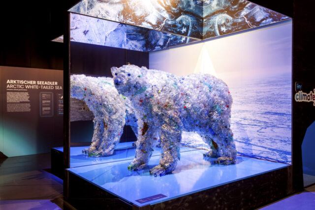 Photo_Polar_Experience_Lebensraum_Tier_Eisbaer_Credit_Christoph_Buckstegen