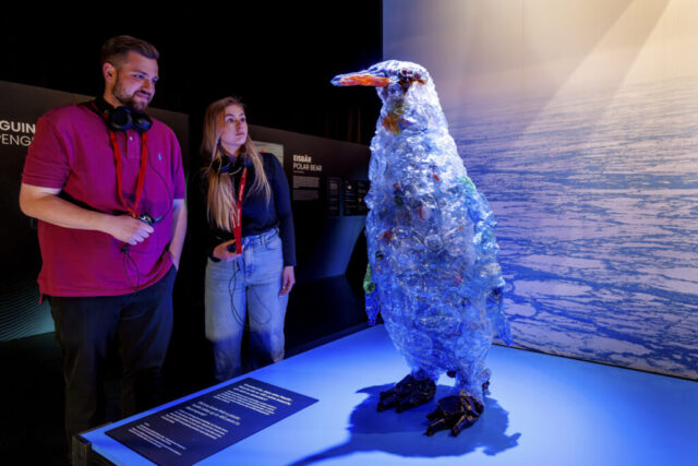 Photo_Polar_Experience_Lebensraum_Tier_Pinguin_Credit_Christoph_Buckstegen