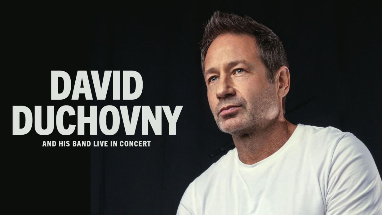 David Duchovny Prince of Pieces