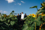 The Snuts Joy In Short Moments Album 2026
